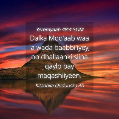 Picture 04 - Yeremyaah 48:4 SOM - Dalka Moo'aab waa la wada baabbi'iyey, oo - Bible Verse Picture