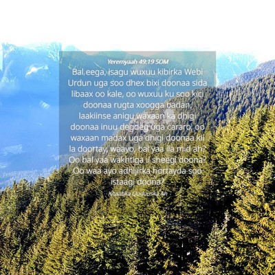 Picture 04 - Yeremyaah 49:19 SOM - Bal eega, isagu wuxuu kibirka Webi Urdun uga soo - Bible Verse Picture