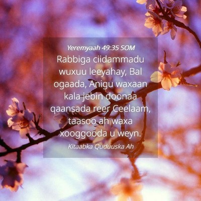 Picture 04 - Yeremyaah 49:35 SOM - Rabbiga ciidammadu wuxuu leeyahay, Bal ogaada, - Bible Verse Picture