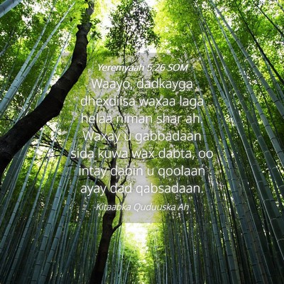 Picture 04 - Yeremyaah 5:26 SOM - Waayo, dadkayga dhexdiisa waxaa laga helaa niman - Bible Verse Picture