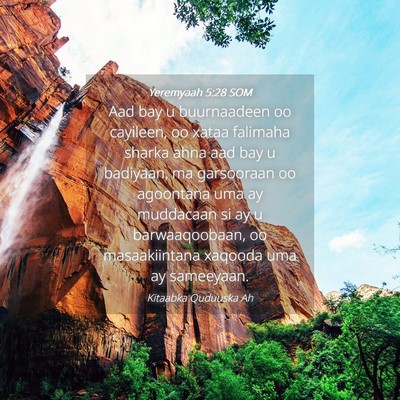 Picture 04 - Yeremyaah 5:28 SOM - Aad bay u buurnaadeen oo cayileen, oo xataa - Bible Verse Picture