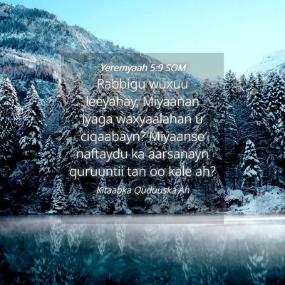 Picture 04 - Yeremyaah 5:9 SOM - Rabbigu wuxuu leeyahay, Miyaanan iyaga - Bible Verse Picture