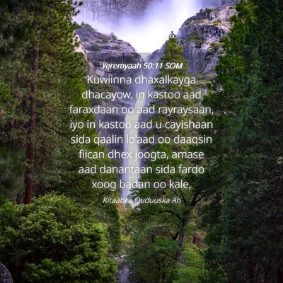 Picture 04 - Yeremyaah 50:11 SOM - Kuwiinna dhaxalkayga dhacayow, in kastoo aad - Bible Verse Picture
