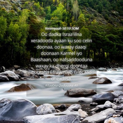 Picture 04 - Yeremyaah 50:19 SOM - Oo dadka Israa'iilna xeradooda ayaan ku soo celin - Bible Verse Picture