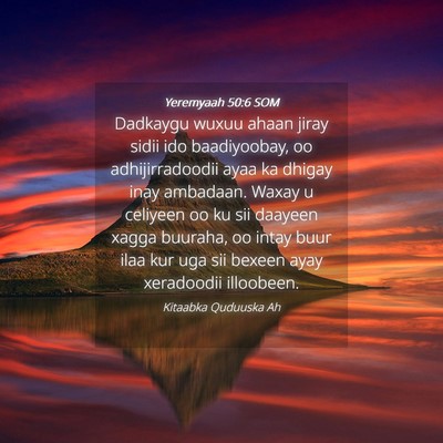 Picture 04 - Yeremyaah 50:6 SOM - Dadkaygu wuxuu ahaan jiray sidii ido baadiyoobay, - Bible Verse Picture