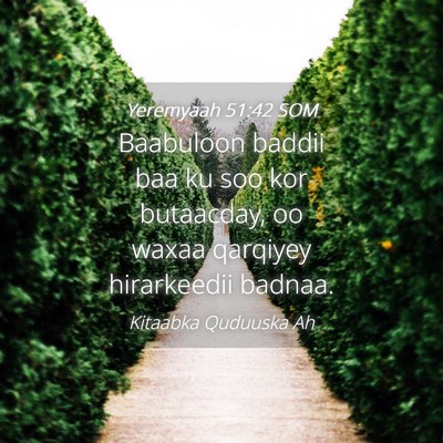 Picture 04 - Yeremyaah 51:42 SOM - Baabuloon baddii baa ku soo kor butaacday, oo - Bible Verse Picture