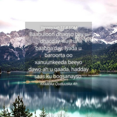 Picture 04 - Yeremyaah 51:8 SOM - Baabuloon dhaqso bay u dhacday, wayna baabba'day. - Bible Verse Picture