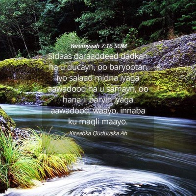 Picture 04 - Yeremyaah 7:16 SOM - Sidaas daraaddeed dadkan ha u ducayn, oo - Bible Verse Picture