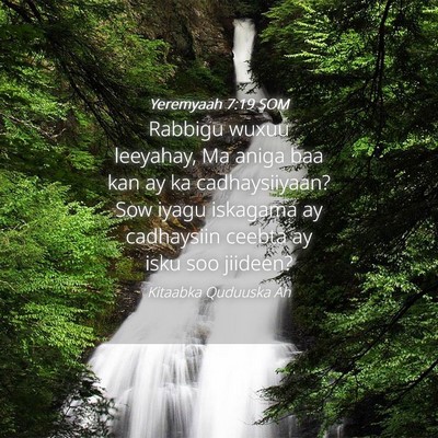 Picture 04 - Yeremyaah 7:19 SOM - Rabbigu wuxuu leeyahay, Ma aniga baa kan ay ka - Bible Verse Picture