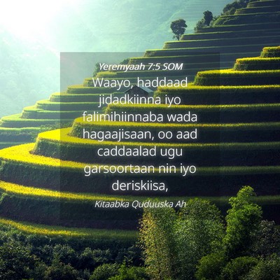 Picture 04 - Yeremyaah 7:5 SOM - Waayo, haddaad jidadkiinna iyo falimihiinnaba - Bible Verse Picture