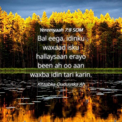 Picture 04 - Yeremyaah 7:8 SOM - Bal eega, idinku waxaad isku hallaysaan erayo - Bible Verse Picture