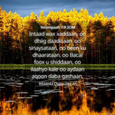 Picture 04 - Yeremyaah 7:9 SOM - Intaad wax xaddaan, oo dhiig daadisaan, oo - Bible Verse Picture