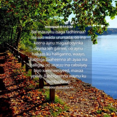 Picture 04 - Yeremyaah 8:14 SOM - Bal maxaynu isaga fadhinnaa? Isa soo wada - Bible Verse Picture