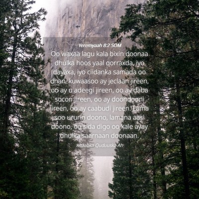 Picture 04 - Yeremyaah 8:2 SOM - Oo waxaa lagu kala bixin doonaa dhulka hoos yaal - Bible Verse Picture
