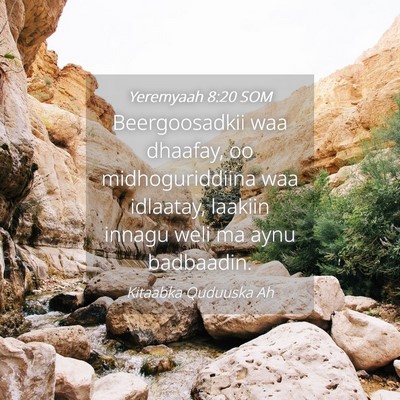 Picture 04 - Yeremyaah 8:20 SOM - Beergoosadkii waa dhaafay, oo midhoguriddiina waa - Bible Verse Picture