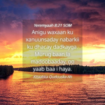 Picture 04 - Yeremyaah 8:21 SOM - Anigu waxaan ku xanuunsaday nabarkii ku dhacay - Bible Verse Picture