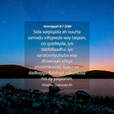 Picture 04 - Yeremyaah 8:7 SOM - Sida xaqiiqada ah xuurta samadu xilligeeda way - Bible Verse Picture