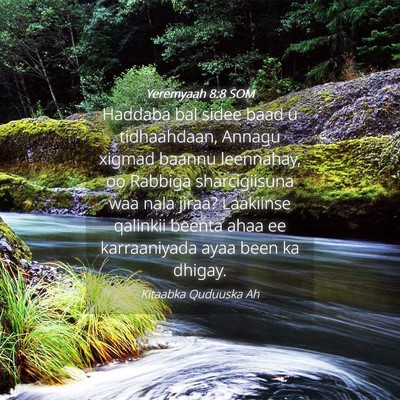 Picture 04 - Yeremyaah 8:8 SOM - Haddaba bal sidee baad u tidhaahdaan, Annagu - Bible Verse Picture