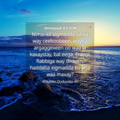 Picture 04 - Yeremyaah 8:9 SOM - Nimankii xigmadda lahaa way ceeboobeen, wayna - Bible Verse Picture