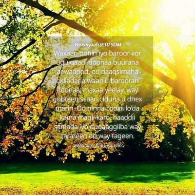 Picture 04 - Yeremyaah 9:10 SOM - Waxaan oohin iyo baroor kor ugu qaadi doonaa - Bible Verse Picture