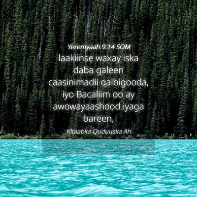 Picture 04 - Yeremyaah 9:14 SOM - laakiinse waxay iska daba galeen caasinimadii - Bible Verse Picture