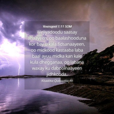 Picture 04 - Yexesqeel 1:11 SOM - Wejiyadoodu saasay ahaayeen, oo baalashooduna kor - Bible Verse Picture
