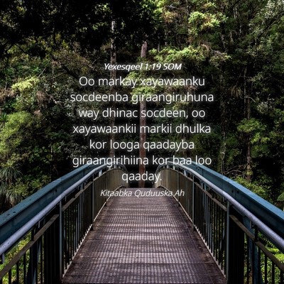 Picture 04 - Yexesqeel 1:19 SOM - Oo markay xayawaanku socdeenba giraangiruhuna way - Bible Verse Picture
