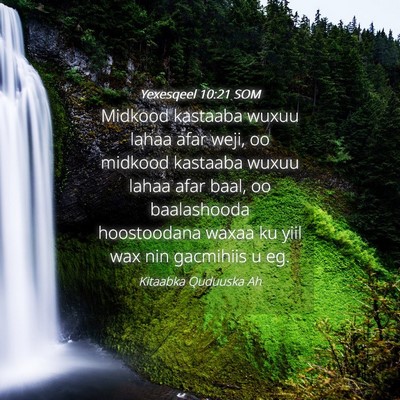 Picture 04 - Yexesqeel 10:21 SOM - Midkood kastaaba wuxuu lahaa afar weji, oo - Bible Verse Picture