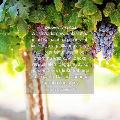 Picture 04 - Yexesqeel 11:15 SOM - Wiilka Aadamow, walaalahaa oo ah walaalahaaga - Bible Verse Picture