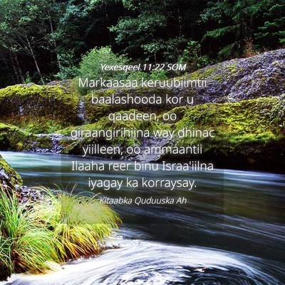 Picture 04 - Yexesqeel 11:22 SOM - Markaasaa keruubiimtii baalashooda kor u qaadeen, - Bible Verse Picture