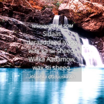 Picture 04 - Yexesqeel 11:4 SOM - Sidaas daraaddeed iyaga wax ka sii sheeg, Wiilka - Bible Verse Picture