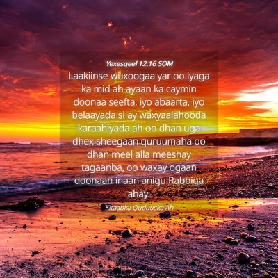 Picture 04 - Yexesqeel 12:16 SOM - Laakiinse wuxoogaa yar oo iyaga ka mid ah ayaan - Bible Verse Picture
