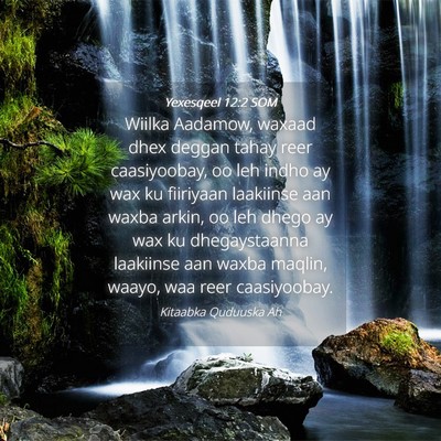 Picture 04 - Yexesqeel 12:2 SOM - Wiilka Aadamow, waxaad dhex deggan tahay reer - Bible Verse Picture