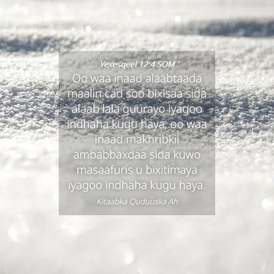 Picture 04 - Yexesqeel 12:4 SOM - Oo waa inaad alaabtaada maalin cad soo bixisaa - Bible Verse Picture