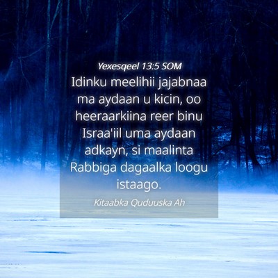 Picture 04 - Yexesqeel 13:5 SOM - Idinku meelihii jajabnaa ma aydaan u kicin, oo - Bible Verse Picture