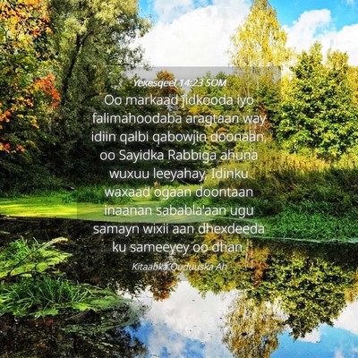 Picture 04 - Yexesqeel 14:23 SOM - Oo markaad jidkooda iyo falimahoodaba aragtaan - Bible Verse Picture