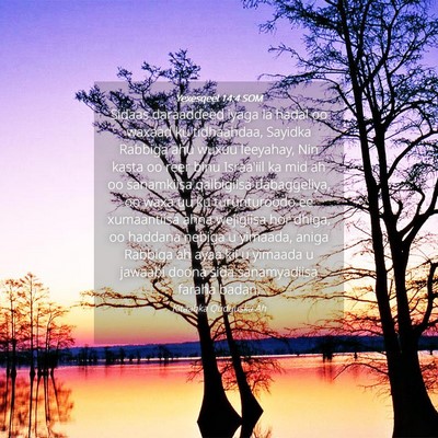 Picture 04 - Yexesqeel 14:4 SOM - Sidaas daraaddeed iyaga la hadal oo waxaad ku - Bible Verse Picture