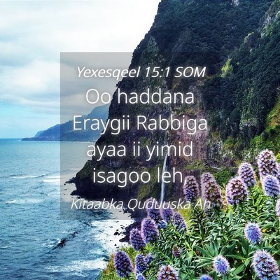 Picture 04 - Yexesqeel 15:1 SOM - Oo haddana Eraygii Rabbiga ayaa ii yimid isagoo - Bible Verse Picture