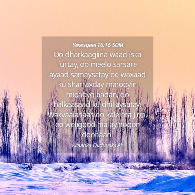 Picture 04 - Yexesqeel 16:16 SOM - Oo dharkaagiina waad iska furtay, oo meelo - Bible Verse Picture