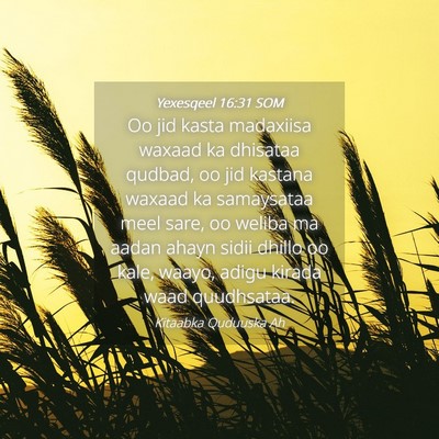 Picture 04 - Yexesqeel 16:31 SOM - Oo jid kasta madaxiisa waxaad ka dhisataa qudbad, - Bible Verse Picture