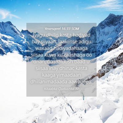 Picture 04 - Yexesqeel 16:33 SOM - Iyagu dhillo kasta hadiyad bay siiyaan, laakiinse - Bible Verse Picture