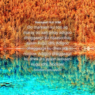 Picture 04 - Yexesqeel 16:6 SOM - Oo markaan ku soo ag maray oo aan arkay adigoo - Bible Verse Picture