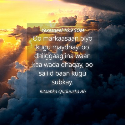Picture 04 - Yexesqeel 16:9 SOM - Oo markaasaan biyo kugu maydhay, oo dhiiggaagiina - Bible Verse Picture