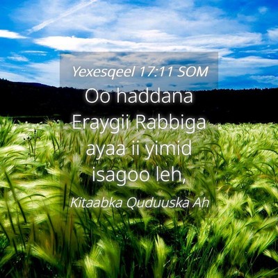 Picture 04 - Yexesqeel 17:11 SOM - Oo haddana Eraygii Rabbiga ayaa ii yimid isagoo - Bible Verse Picture