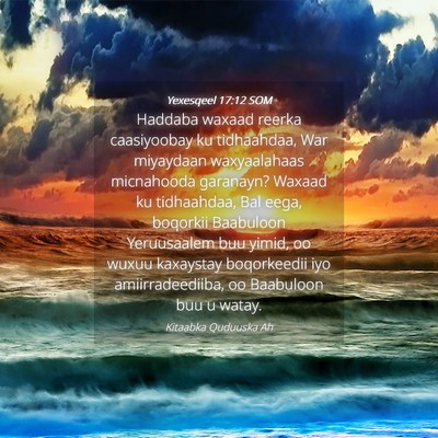 Picture 04 - Yexesqeel 17:12 SOM - Haddaba waxaad reerka caasiyoobay ku tidhaahdaa, - Bible Verse Picture
