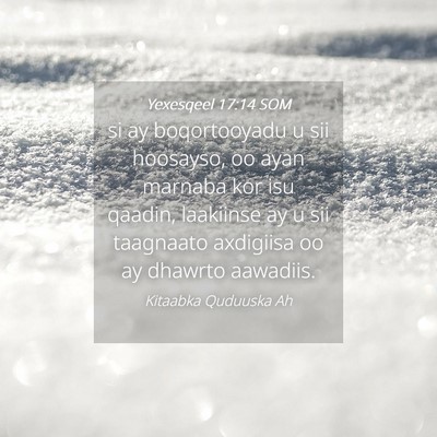 Picture 04 - Yexesqeel 17:14 SOM - si ay boqortooyadu u sii hoosayso, oo ayan - Bible Verse Picture