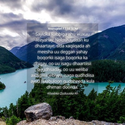 Picture 04 - Yexesqeel 17:16 SOM - Sayidka Rabbiga ahu wuxuu leeyahay, Noloshaydaan - Bible Verse Picture