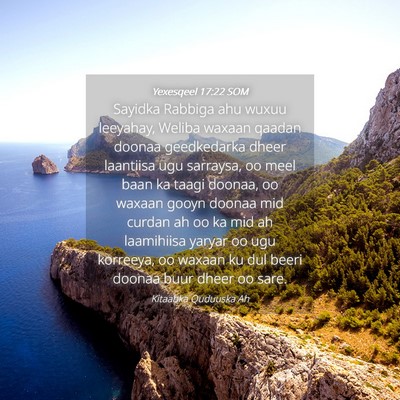 Picture 04 - Yexesqeel 17:22 SOM - Sayidka Rabbiga ahu wuxuu leeyahay, Weliba waxaan - Bible Verse Picture