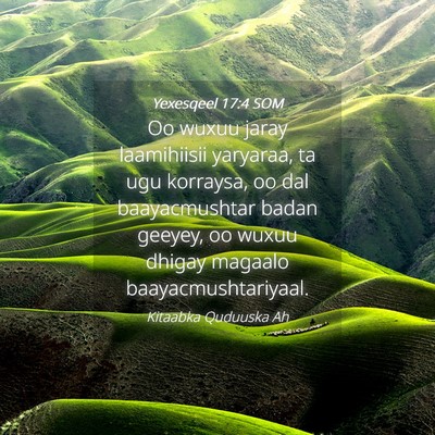 Picture 04 - Yexesqeel 17:4 SOM - Oo wuxuu jaray laamihiisii yaryaraa, ta ugu - Bible Verse Picture