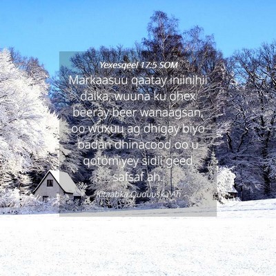 Picture 04 - Yexesqeel 17:5 SOM - Markaasuu qaatay iniinihii dalka, wuuna ku dhex - Bible Verse Picture